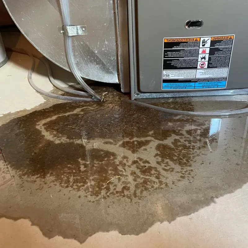 Pipe Burst and Leak Restoration in Gorman, NC