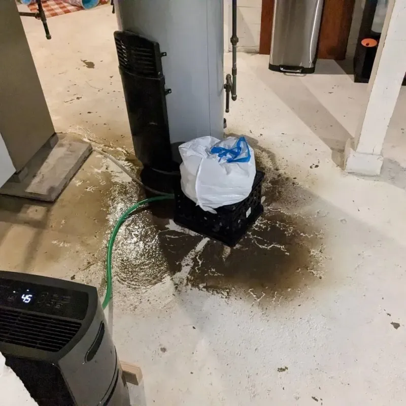 Sewage Backup Cleanup Service in Gorman, NC